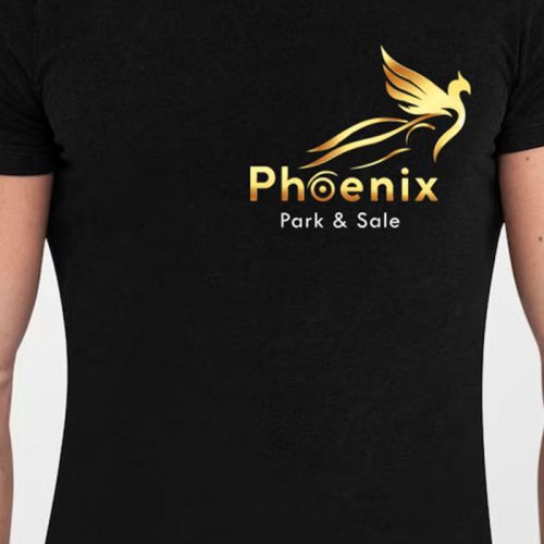 Phoenix Car logo design