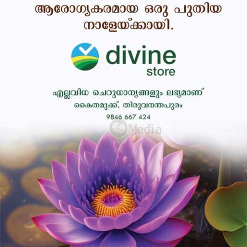 Divine Store healthy millets poster at Trivandrum